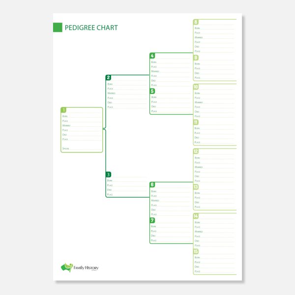 Step-by-Step Guide + Workbook Family Tree Research Package - Image 7